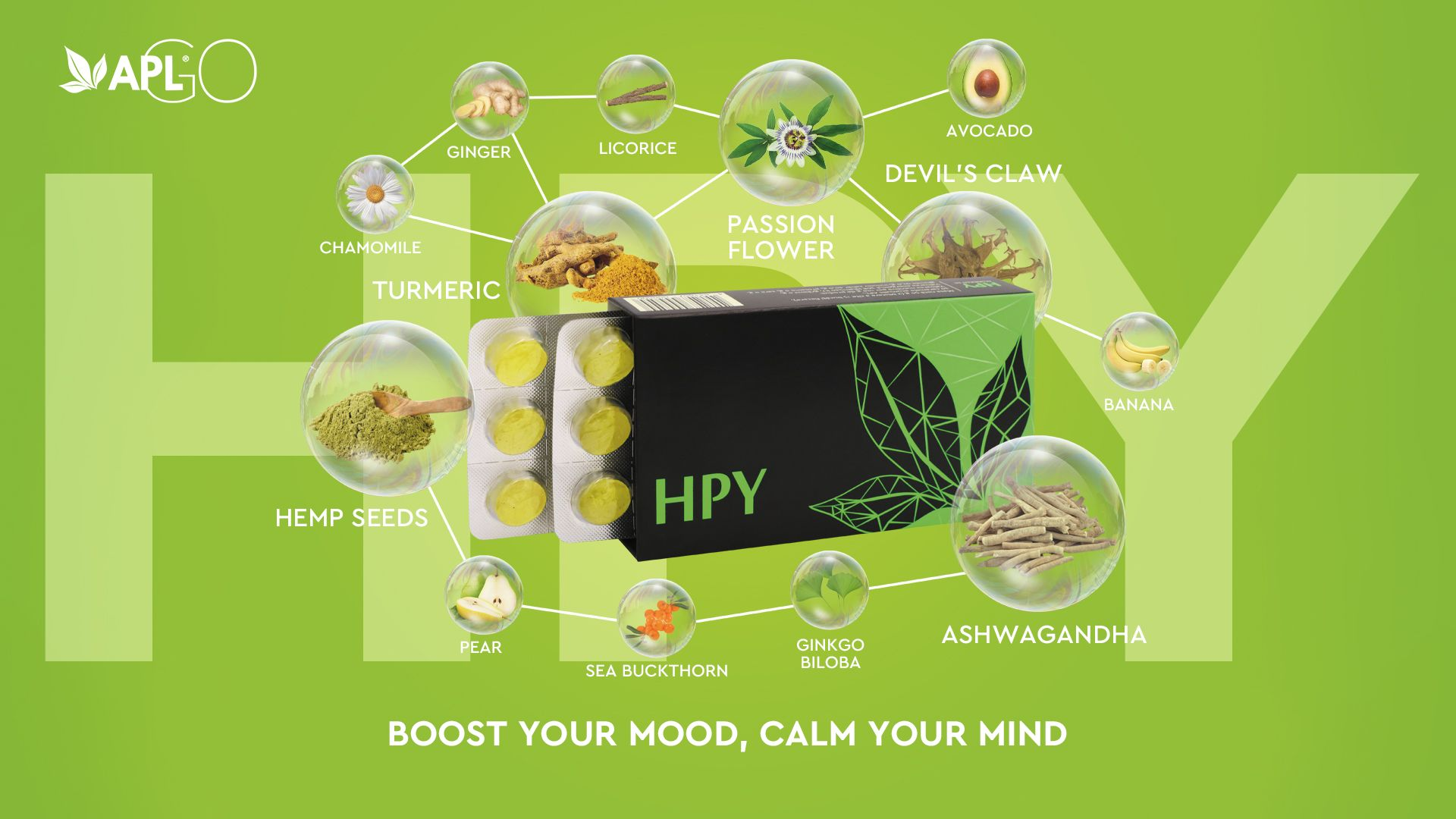 HPY — APLGO Acumullit SA Drop